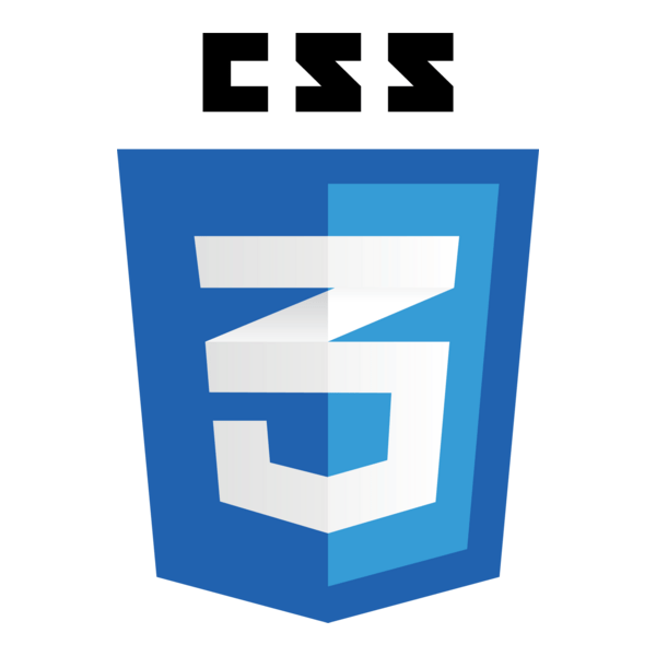 CSS Logo