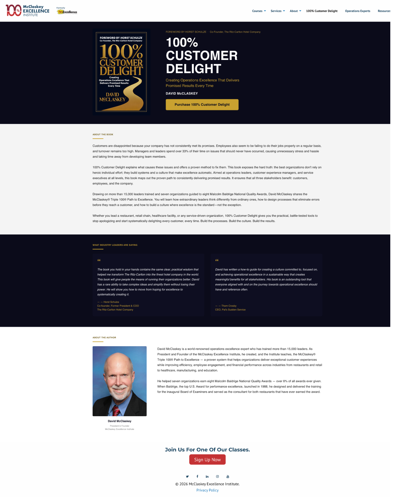 Screenshot of the 100% Customer Delight project website page